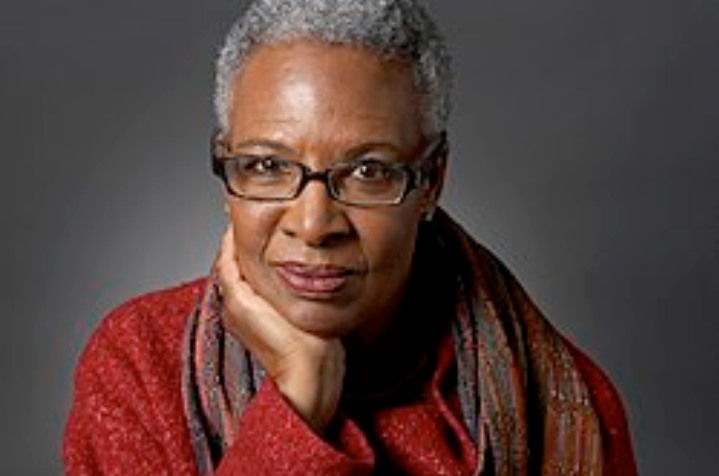 Nell Irvin Painter Biography