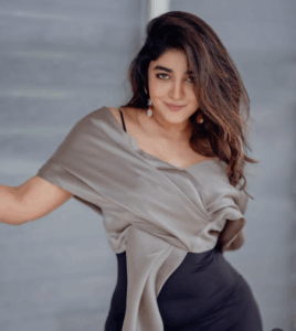 Dimple Hayathi Biography 